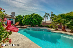 4241 Encanto St, Mesa, AZ 85205 photo 52