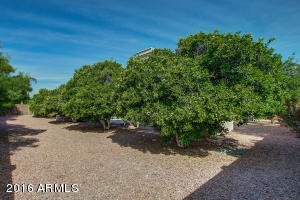 4241 Encanto St, Mesa, AZ 85205 photo 49