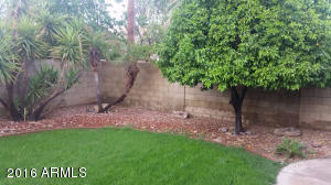 4427 E Meadow Dr, Phoenix, AZ 85032 photo 23
