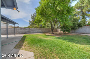 3008 E Dolphin Ave, Mesa, AZ 85204 photo 19