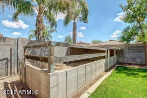 11415 E Quarry Ave, Mesa, AZ 85212 photo 23