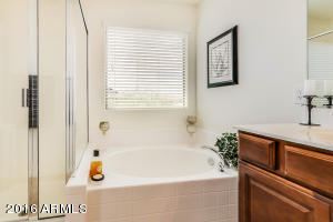 11141 E Segura Ave, Mesa, AZ 85212 photo 46