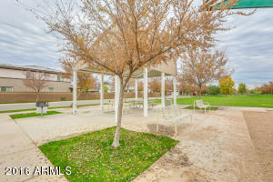 3665 E Bruce Ave, Gilbert, AZ 85234 photo 36