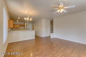 3665 E Bruce Ave, Gilbert, AZ 85234 photo 14