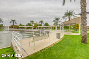 3665 E Bruce Ave, Gilbert, AZ 85234 photo 44