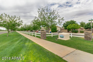 3665 E Bruce Ave, Gilbert, AZ 85234 photo 34