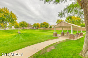 3665 E Bruce Ave, Gilbert, AZ 85234 photo 42