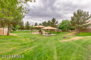 3665 E Bruce Ave, Gilbert, AZ 85234 photo 32