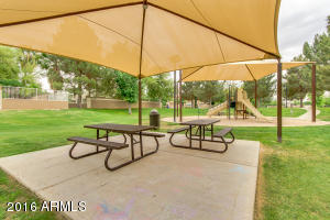 3665 E Bruce Ave, Gilbert, AZ 85234 photo 33