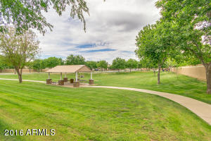 3665 E Bruce Ave, Gilbert, AZ 85234 photo 31