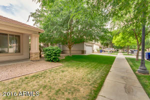 3665 E Bruce Ave, Gilbert, AZ 85234 photo 30