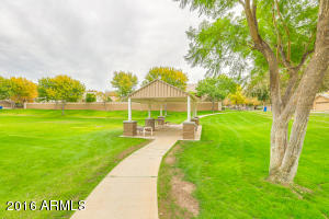 3665 E Bruce Ave, Gilbert, AZ 85234 photo 41