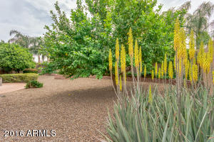 4121 E Del Rio St, Gilbert, AZ 85295 photo 31