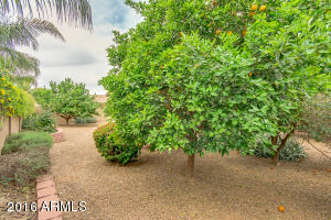4121 E Del Rio St, Gilbert, AZ 85295 photo 29