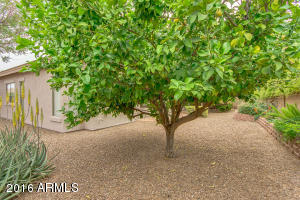 4121 E Del Rio St, Gilbert, AZ 85295 photo 30
