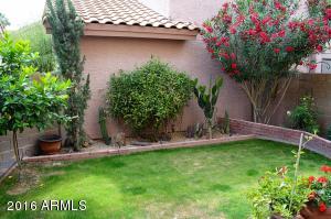 1356 N Dana St, Gilbert, AZ 85233 photo 34