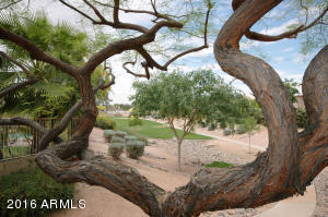 3438 E Clark Rd, Phoenix, AZ 85050 photo 26
