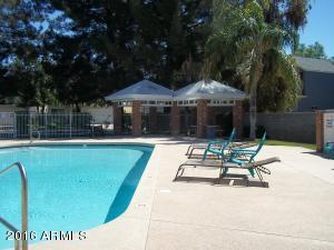 441 S Maple -- #93, Mesa, AZ 85206 photo 19