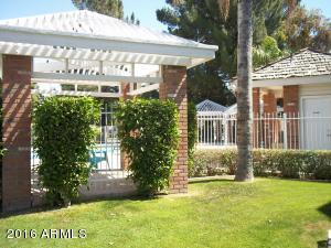 441 S Maple -- #93, Mesa, AZ 85206 photo 17