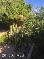 4002 E Decatur St, Mesa, AZ 85205 photo 4