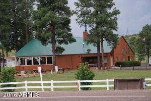 2216 Rodeo Rd, Overgaard, AZ 85933 photo 34