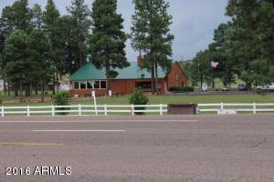 2216 Rodeo Rd, Overgaard, AZ 85933 photo 33