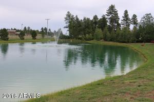 2216 Rodeo Rd, Overgaard, AZ 85933 photo 37