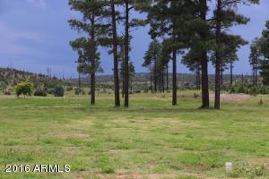 2216 Rodeo Rd, Overgaard, AZ 85933 photo 41