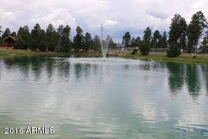 2216 Rodeo Rd, Overgaard, AZ 85933 photo 40