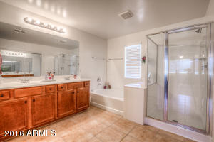 3631 E Vallejo Ct, Gilbert, AZ 85298 photo 13