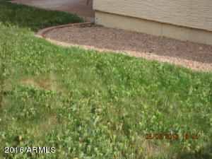 4638 E Charleston Ave, Phoenix, AZ 85032 photo 9