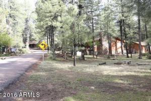 3971 Apache Trl, Pine, AZ 85544 photo 39