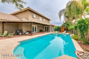 3703 E Adobe St, Mesa, AZ 85205 photo 50