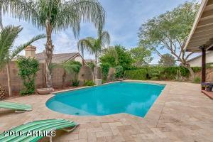 3703 E Adobe St, Mesa, AZ 85205 photo 47