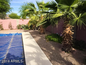 1113 W 18th Ave, Apache Junction, AZ 85120 photo 23