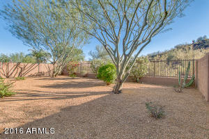 2443 E Dust Devil Dr, Phoenix, AZ 85024 photo 39