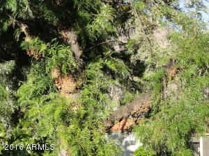 4201 E Camelback Rd #22, Phoenix, AZ 85018 photo 23