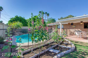 718 E Balboa Dr, Tempe, AZ 85282 photo 45
