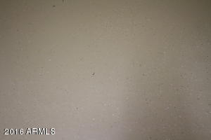 1813 W Ray Ln, Apache Junction, AZ 85120 photo 23