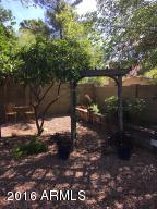 4413 E Douglas Ave, Gilbert, AZ 85234 photo 24