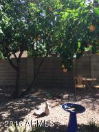 4413 E Douglas Ave, Gilbert, AZ 85234 photo 25