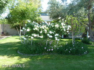 2825 E Danbury Rd, Phoenix, AZ 85032 photo 42