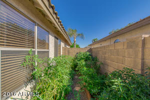 709 E Kyle Dr, Gilbert, AZ 85296 photo 33