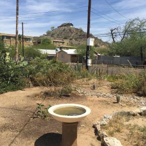 9434 N 9th Ave, Phoenix, AZ 85021 photo 25