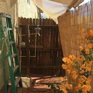 9434 N 9th Ave, Phoenix, AZ 85021 photo 20