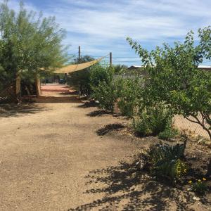 9434 N 9th Ave, Phoenix, AZ 85021 photo 24