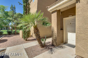 1335 E June St #214, Mesa, AZ 85203 photo 1