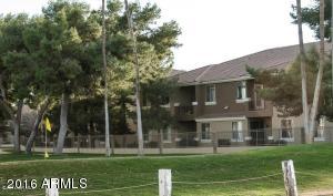 1335 E June St #214, Mesa, AZ 85203 photo 30