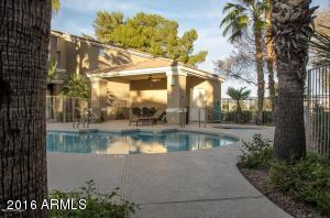 1335 E June St #214, Mesa, AZ 85203 photo 27
