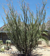 2512 E Lamar Rd, Phoenix, AZ 85016 photo 17